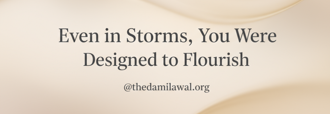 Lessons I Learnt from the Palm Tree About Resilience